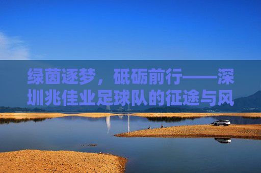 绿茵逐梦,砥砺前行——深圳兆佳业足球队的征途与风采,深圳兆佳业足球队,逐梦绿茵,砥砺前行