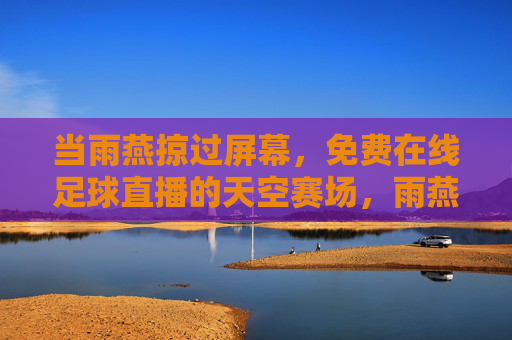 当雨燕掠过屏幕，免费在线足球直播的天空赛场，雨燕掠过，免费天空足球直播