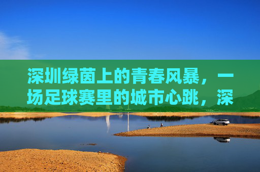 深圳绿茵上的青春风暴，一场足球赛里的城市心跳，深圳绿茵，青春风暴里的城市心跳