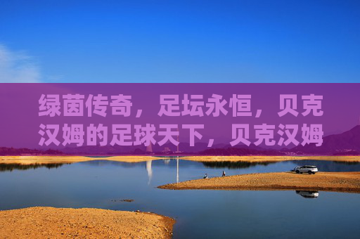 绿茵传奇,足坛永恒,贝克汉姆的足球天下,贝克汉姆,绿茵传奇,足坛永恒