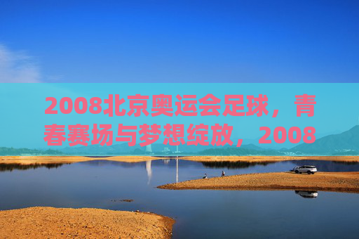 2008北京奥运会足球,青春赛场与梦想绽放,2008北京奥运足球,青春赛场与梦想绽放