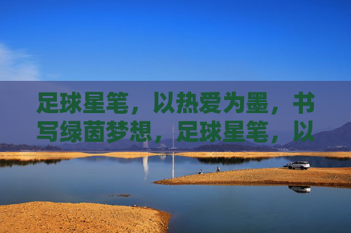 足球星笔，以热爱为墨，书写绿茵梦想，足球星笔，以热爱为墨，书写绿茵梦想