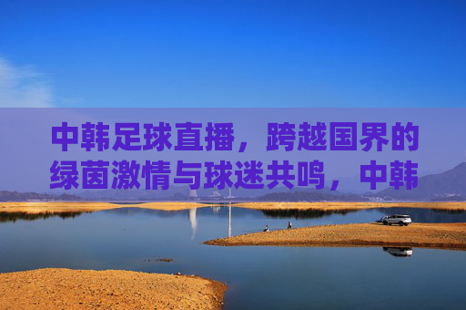 中韩足球直播，跨越国界的绿茵激情与球迷共鸣，中韩足球直播，跨越国界的绿茵激情与球迷共鸣