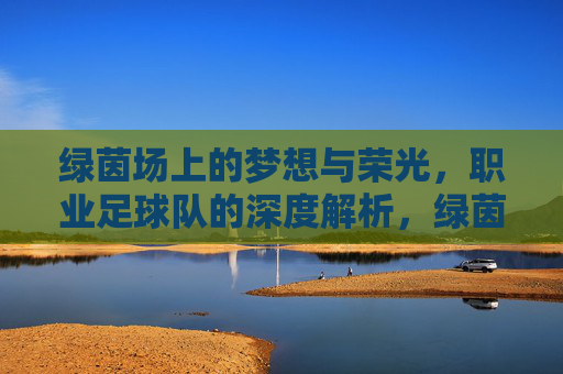 绿茵场上的梦想与荣光,职业足球队的深度解析,绿茵场上的梦想与荣光,职业足球队深度解析