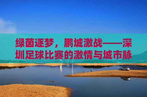 绿茵逐梦，鹏城激战——深圳足球比赛的激情与城市脉搏，鹏城绿茵脉动，足球激情与城市心跳
