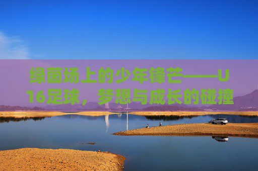 绿茵场上的少年锋芒——U16足球,梦想与成长的碰撞,U16少年锋芒,绿茵场上的梦想与成长