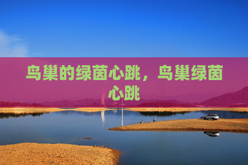 鸟巢的绿茵心跳，鸟巢绿茵心跳