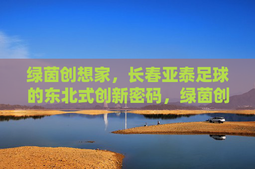 绿茵创想家,长春亚泰足球的东北式创新密码,绿茵创想家,长春亚泰足球的东北式创新密码