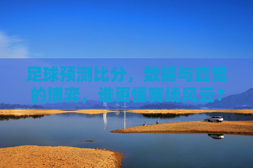 足球预测比分,数据与直觉的博弈,谁更懂赛场风云?数据VS直觉,足球预测的赛场风云谁主沉浮?