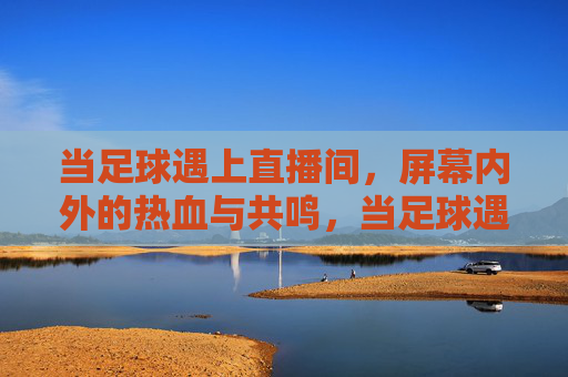 当足球遇上直播间,屏幕内外的热血与共鸣,当足球遇上直播间,屏幕内外的热血共鸣
