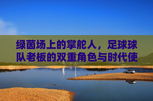 绿茵场上的掌舵人,足球球队老板的双重角色与时代使命,绿茵掌舵者,足球老板的双重角色与时代使命