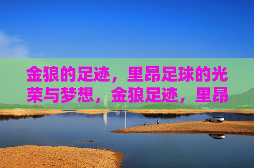 金狼的足迹,里昂足球的光荣与梦想,金狼足迹,里昂足球的光荣与梦想
