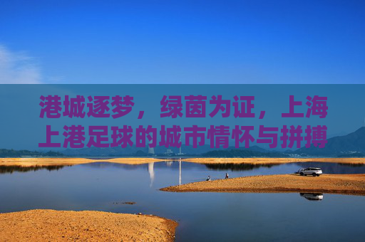 港城逐梦，绿茵为证，上海上港足球的城市情怀与拼搏之路，港城绿茵证，上海上港的城市情怀与拼搏之路