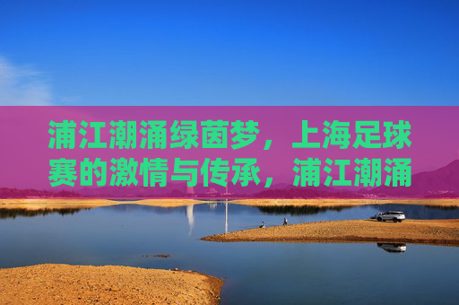 浦江潮涌绿茵梦，上海足球赛的激情与传承，浦江潮涌绿茵梦，上海足球的激情与传承