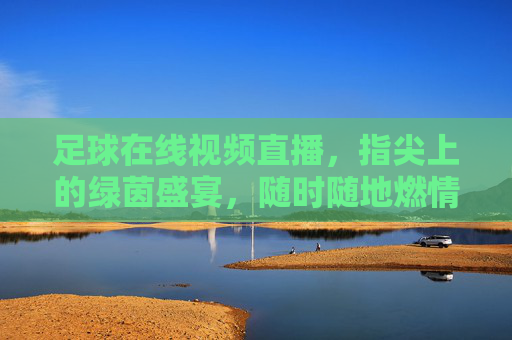 足球在线视频直播,指尖上的绿茵盛宴,随时随地燃情赛场,指尖绿茵盛宴,随时随地燃情赛场