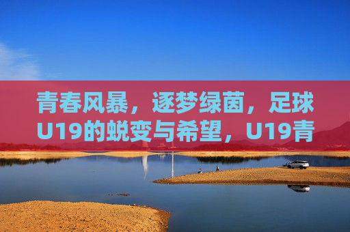 青春风暴，逐梦绿茵，足球U19的蜕变与希望，U19青春风暴，逐梦绿茵的蜕变与希望