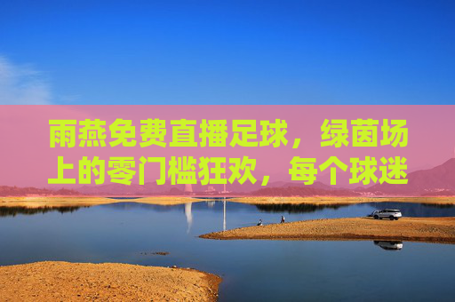 雨燕免费直播足球，绿茵场上的零门槛狂欢，每个球迷都能在场，雨燕免费直播足球，零门槛狂欢，球迷直通绿茵场