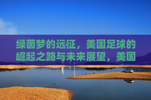 绿茵梦的远征，美国足球的崛起之路与未来展望，美国足球的绿茵远征，崛起之路与未来展望