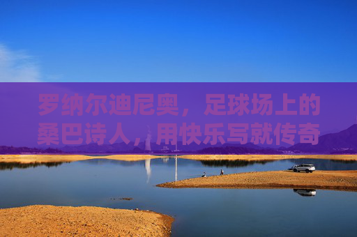 罗纳尔迪尼奥,足球场上的桑巴诗人,用快乐写就传奇,桑巴诗人的快乐传奇