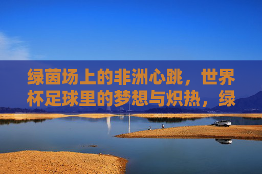 绿茵场上的非洲心跳，世界杯足球里的梦想与炽热，绿茵脉动，非洲心跳里的世界杯炽梦