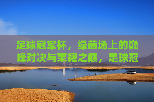 足球冠军杯，绿茵场上的巅峰对决与荣耀之巅，足球冠军杯，巅峰对决与荣耀之巅