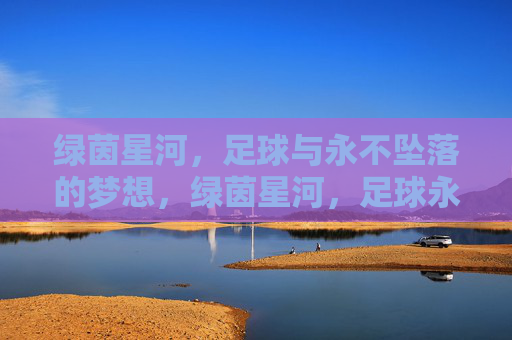 绿茵星河,足球与永不坠落的梦想,绿茵星河,足球永不坠落的梦想