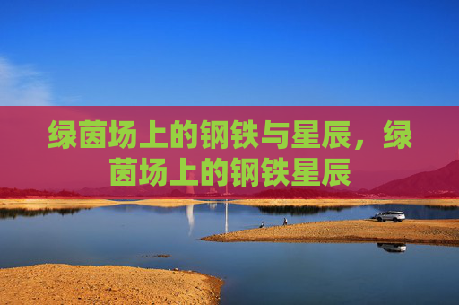 绿茵场上的钢铁与星辰,绿茵场上的钢铁星辰