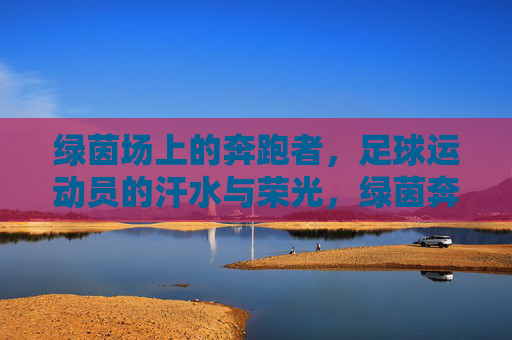 绿茵场上的奔跑者，足球运动员的汗水与荣光，绿茵奔跑者，汗水铸就荣光