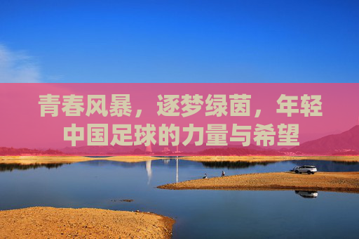 青春风暴,逐梦绿茵,年轻中国足球的力量与希望