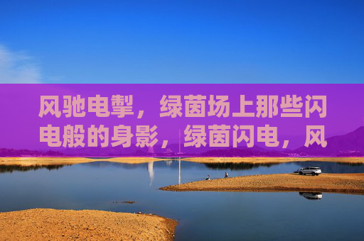 风驰电掣，绿茵场上那些闪电般的身影，绿茵闪电，风驰电掣的身影