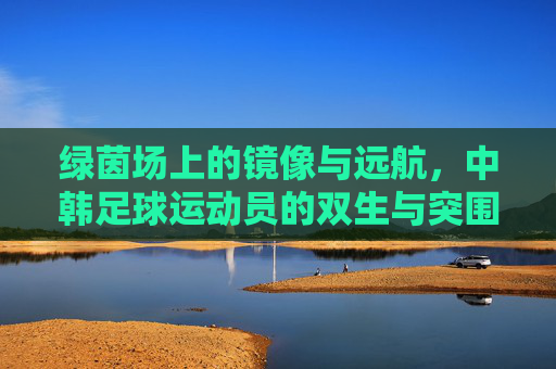 绿茵场上的镜像与远航，中韩足球运动员的双生与突围，绿茵镜像，中韩足球的双生突围