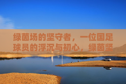 绿茵场的坚守者,一位国足球员的浮沉与初心,绿茵坚守者,国足球员的浮沉与初心