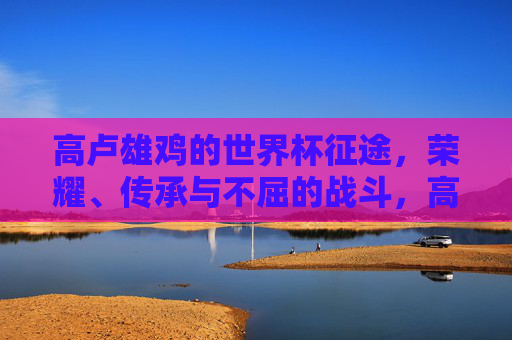 高卢雄鸡的世界杯征途，荣耀、传承与不屈的战斗，高卢雄鸡的世界杯征途，荣耀传承不屈战魂