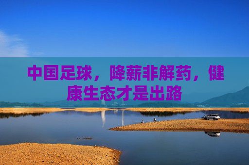 中国足球,降薪非解药,健康生态才是出路