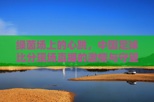 绿茵场上的心跳,中国足球比分现场直播的激情与守望,绿茵心跳,中国足球比分直播的激情守望