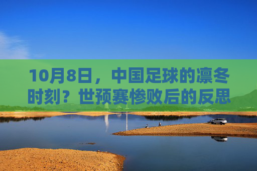 10月8日,中国足球的凛冬时刻?世预赛惨败后的反思与追问,10月8日,中国足球凛冬,世预赛惨败后的反思与追问
