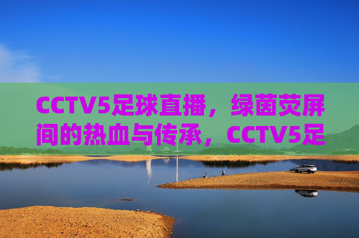 CCTV5足球直播,绿茵荧屏间的热血与传承,CCTV5足球直播,绿茵荧屏间的热血传承