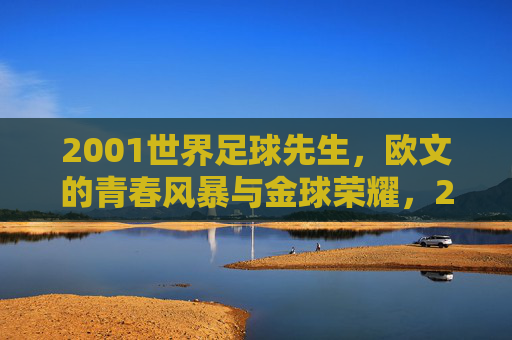 2001世界足球先生,欧文的青春风暴与金球荣耀,2001世界足球先生,欧文的青春风暴与金球荣耀