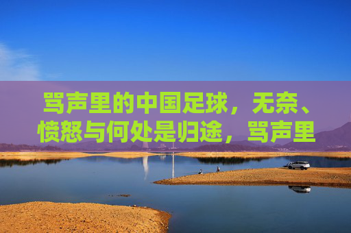骂声里的中国足球,无奈、愤怒与何处是归途,骂声里的中国足球,无奈、愤怒与归途