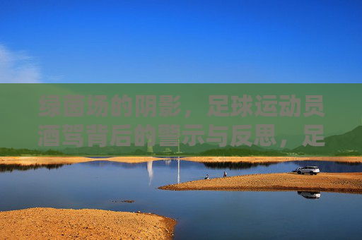 绿茵场的阴影,足球运动员酒驾背后的警示与反思,足球运动员酒驾,绿茵场阴影下的警示与反思