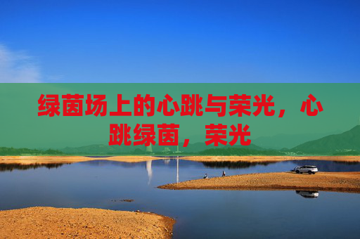 绿茵场上的心跳与荣光，心跳绿茵，荣光