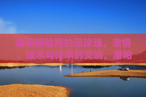 潘帕斯雄鹰的足球魂，激情、技术与传承的交响，潘帕斯雄鹰的足球魂，激情、技术与传承的交响