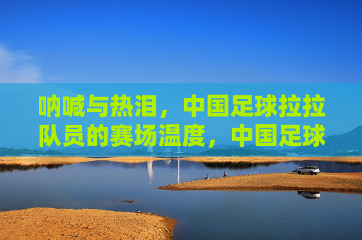 呐喊与热泪,中国足球拉拉队员的赛场温度,中国足球拉拉队员,赛场上的呐喊与热泪温度