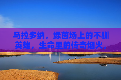 马拉多纳,绿茵场上的不驯英雄,生命里的传奇烟火,马拉多纳,不驯英雄,传奇烟火