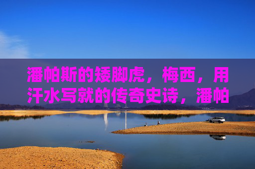潘帕斯的矮脚虎,梅西,用汗水写就的传奇史诗,潘帕斯矮脚虎,汗水铸就的传奇史诗