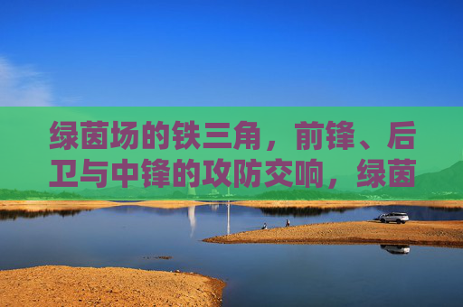 绿茵场的铁三角,前锋、后卫与中锋的攻防交响,绿茵铁三角,攻防协奏曲