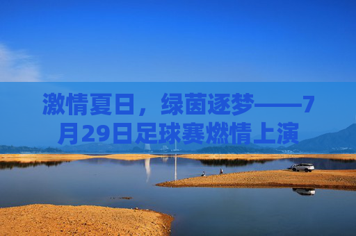 激情夏日,绿茵逐梦——7月29日足球赛燃情上演