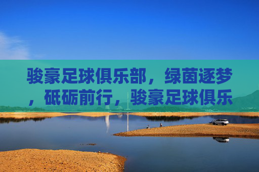骏豪足球俱乐部，绿茵逐梦，砥砺前行，骏豪足球俱乐部，绿茵逐梦，砥砺前行