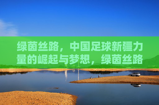 绿茵丝路,中国足球新疆力量的崛起与梦想,绿茵丝路,中国足球新疆力量的崛起与梦想