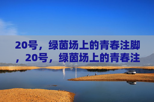 20号,绿茵场上的青春注脚,20号,绿茵场上的青春注脚